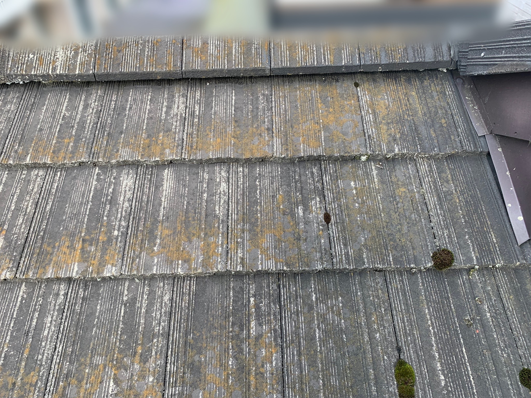 屋根が劣化している写真