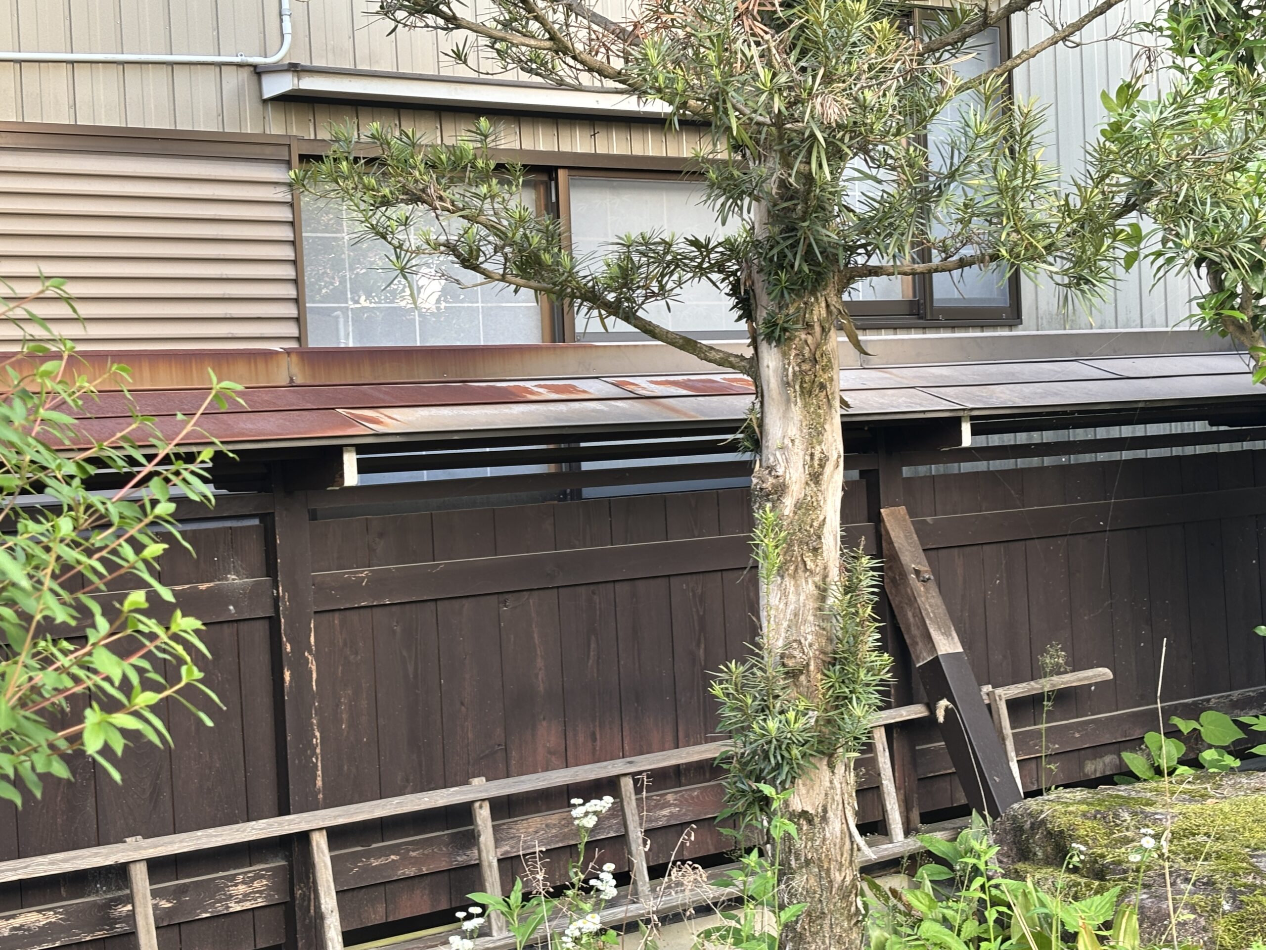 屋根板金が劣化している写真